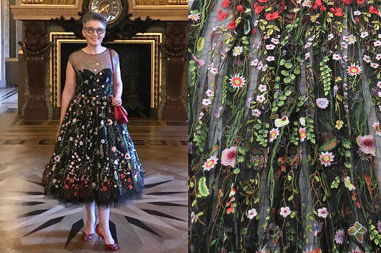 A Special Occasion Embroidered Mesh Dress