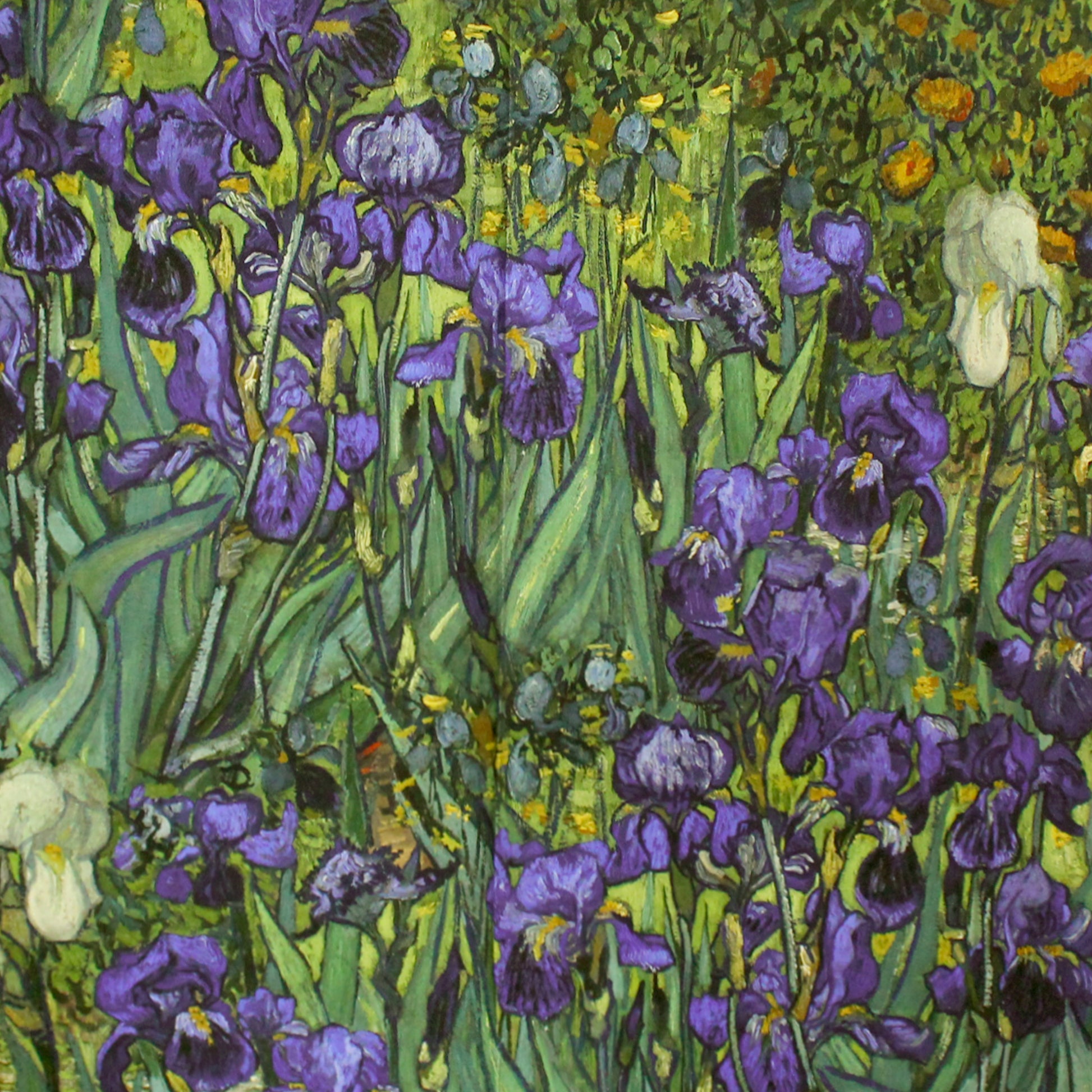 'Vincent's Irises' Dutch digital cotton brushed French terry panel, Oeko-Tex cert.