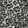 dutch leopard faux fur, Oeko-Tex cert. - gray