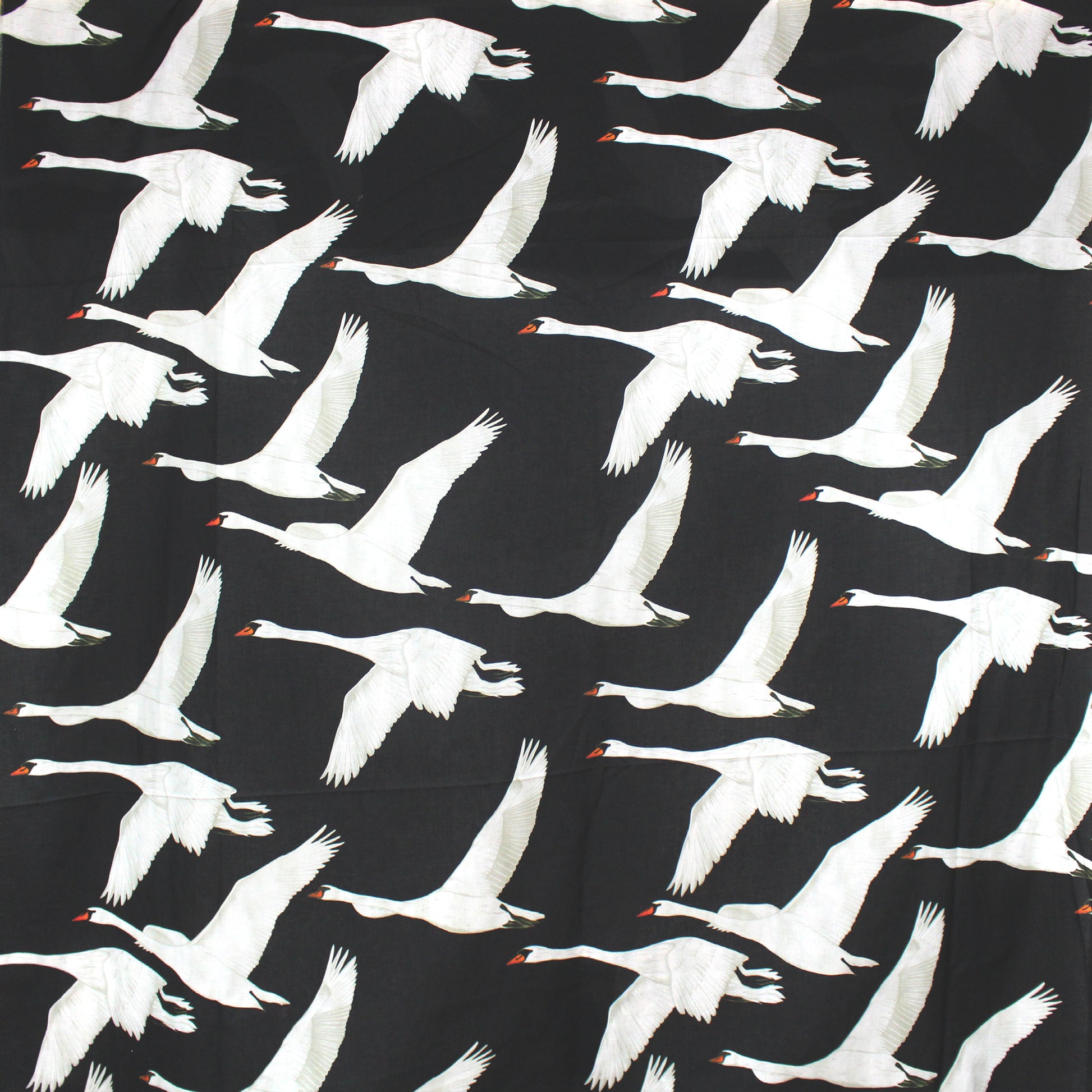 Italian deadstock 'migration' cotton voile