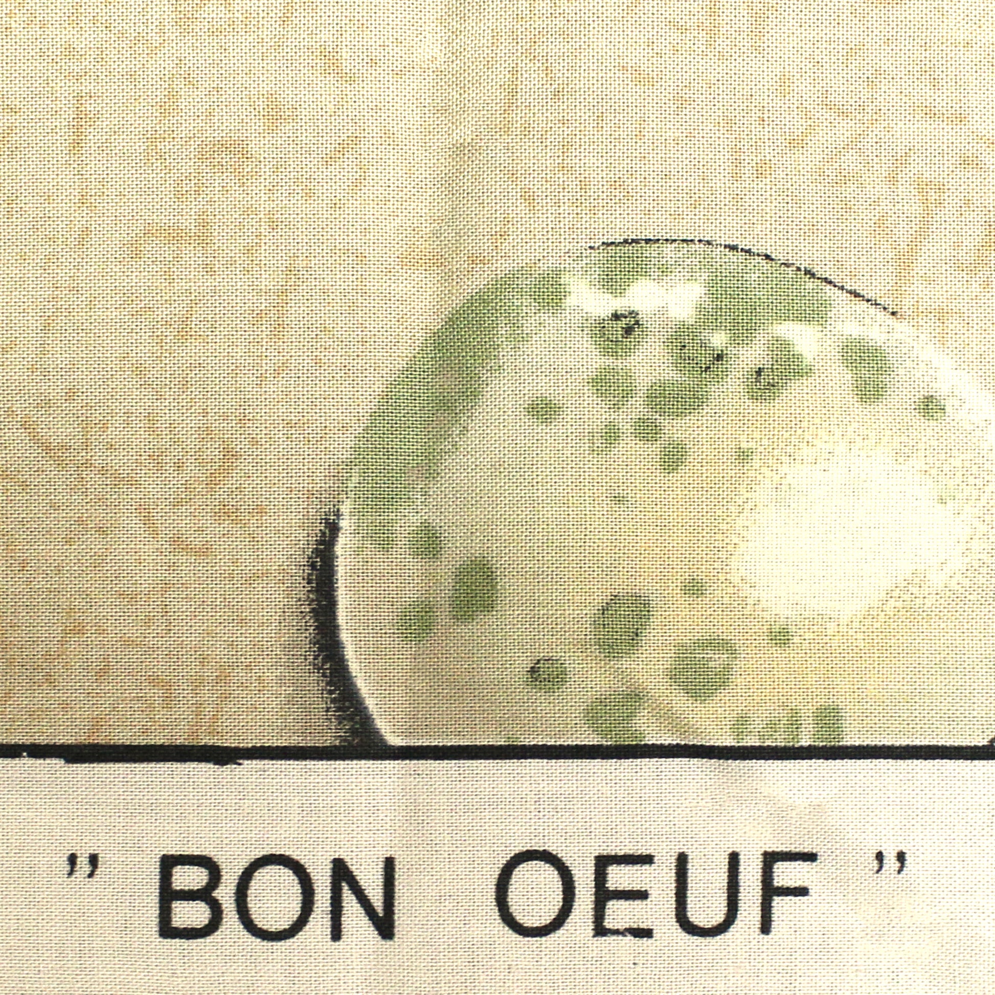 Italian deadstock 'bon oeuf' dressweight cotton woven