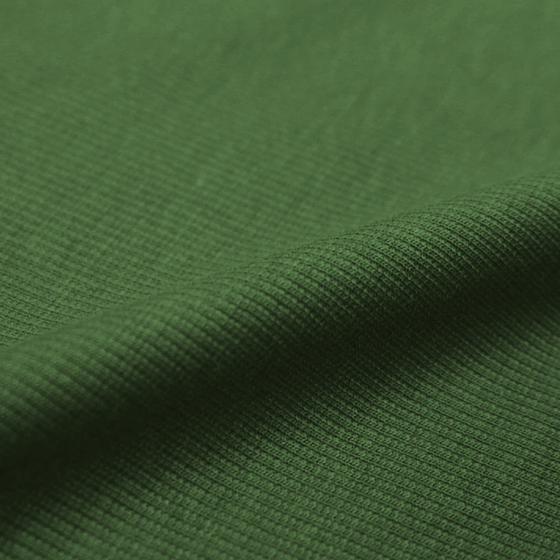 organic cotton rib knit - garden green