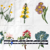 'garden's edge' botanical embroidered cotton voile *PRE-ORDER*
