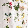 'garden's edge' botanical embroidered cotton voile *PRE-ORDER*