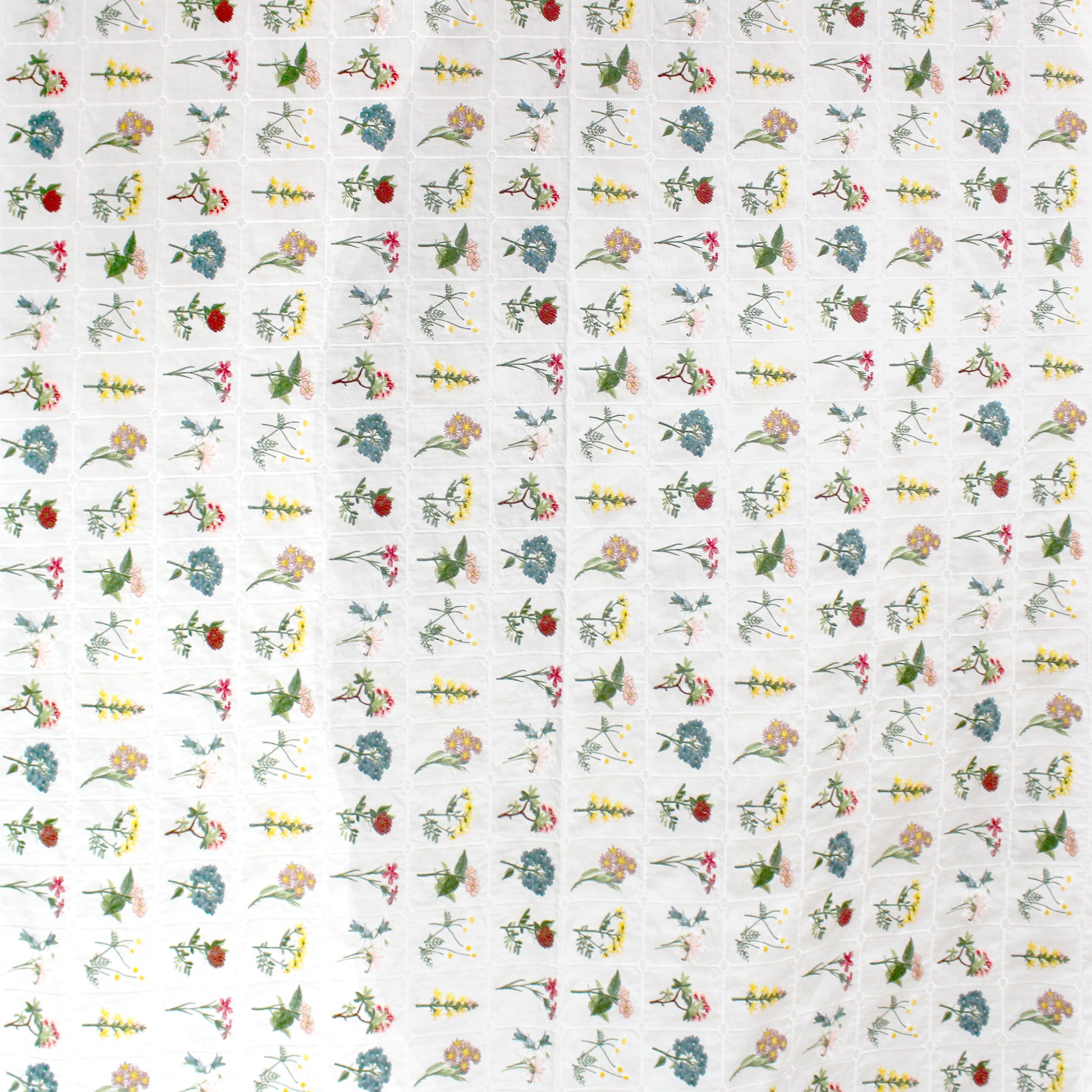 'garden's edge' botanical embroidered cotton voile *PRE-ORDER*