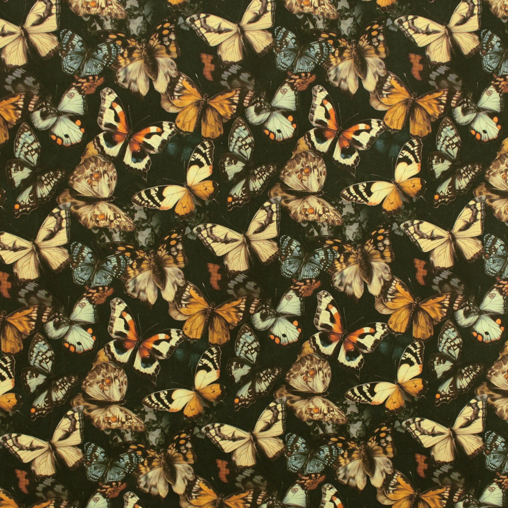 Dutch 'metamorphosis' cotton poplin