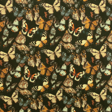 Dutch 'metamorphosis' cotton poplin