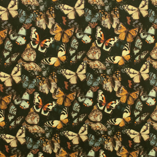 Dutch 'metamorphosis' cotton poplin