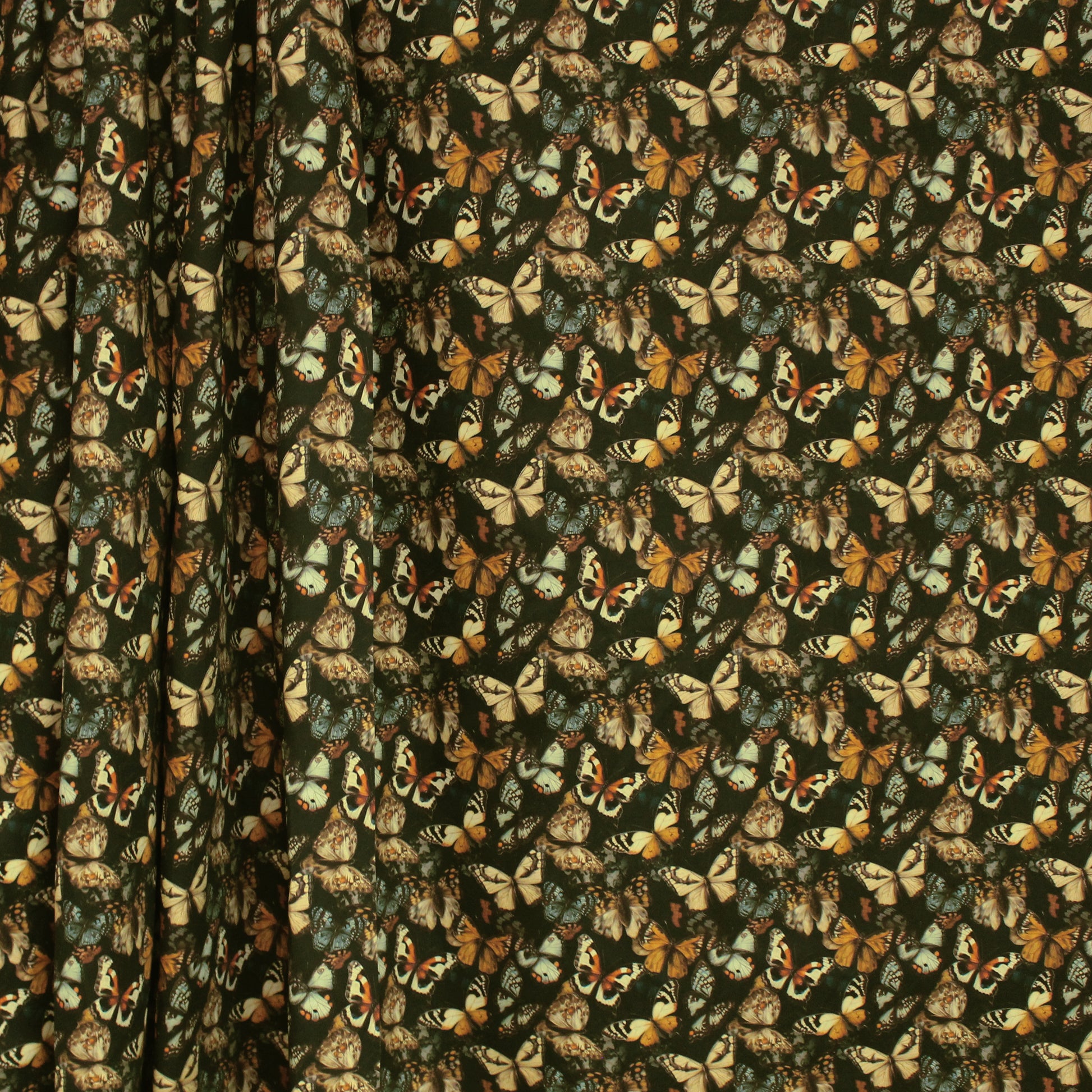 Dutch 'metamorphosis' cotton poplin