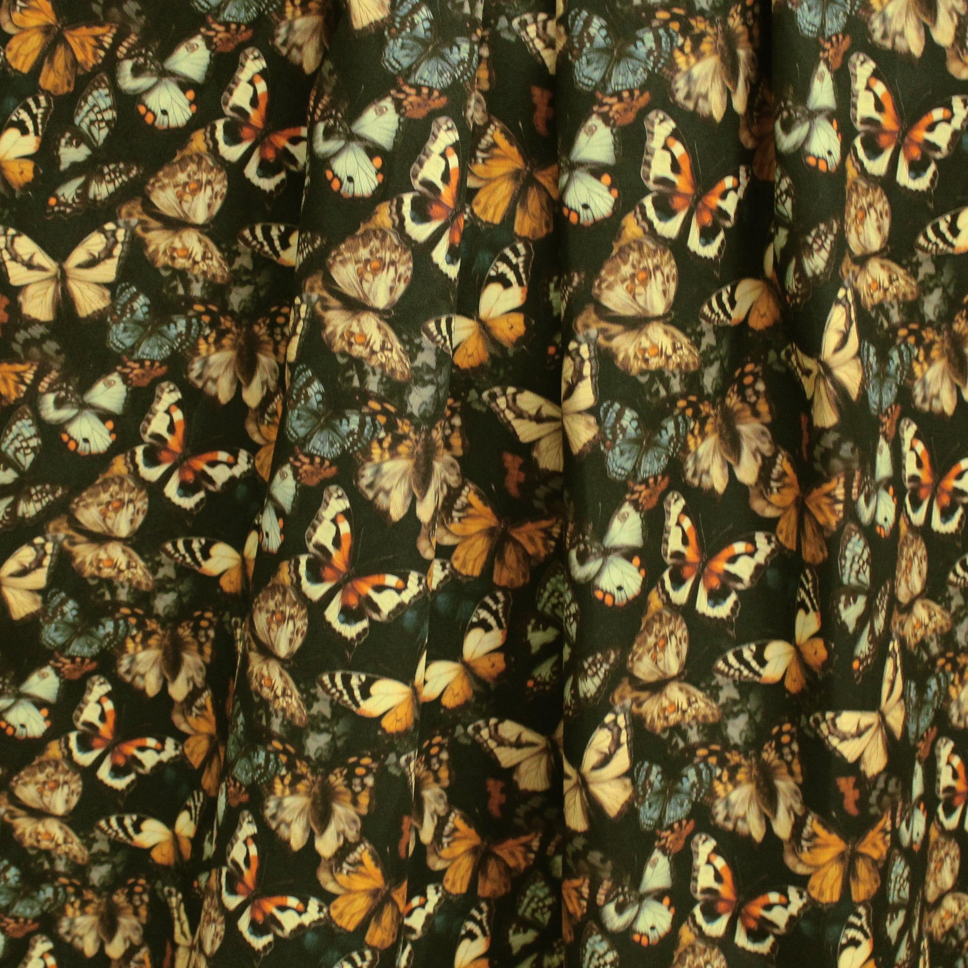 Dutch 'metamorphosis' cotton poplin