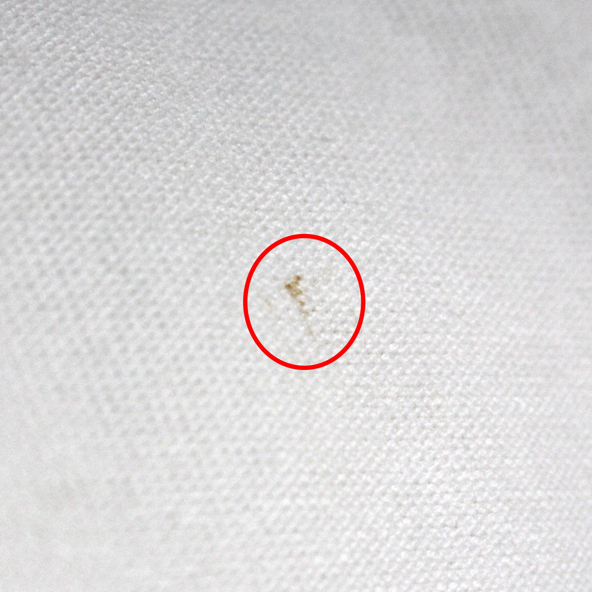 'urban luxury' mid-weight cotton knit - white *minor flaw*