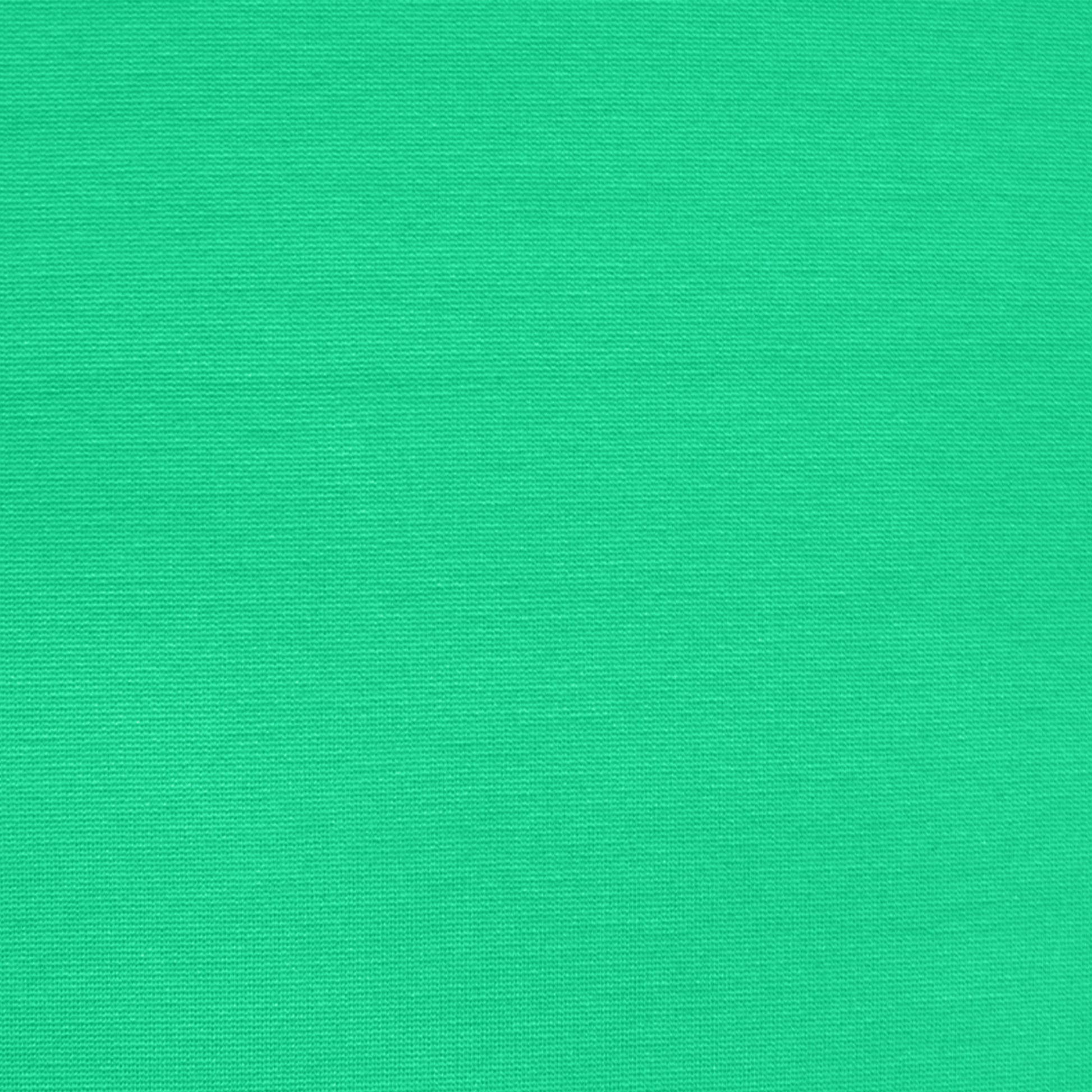 premium rayon blend ponte - spearmint