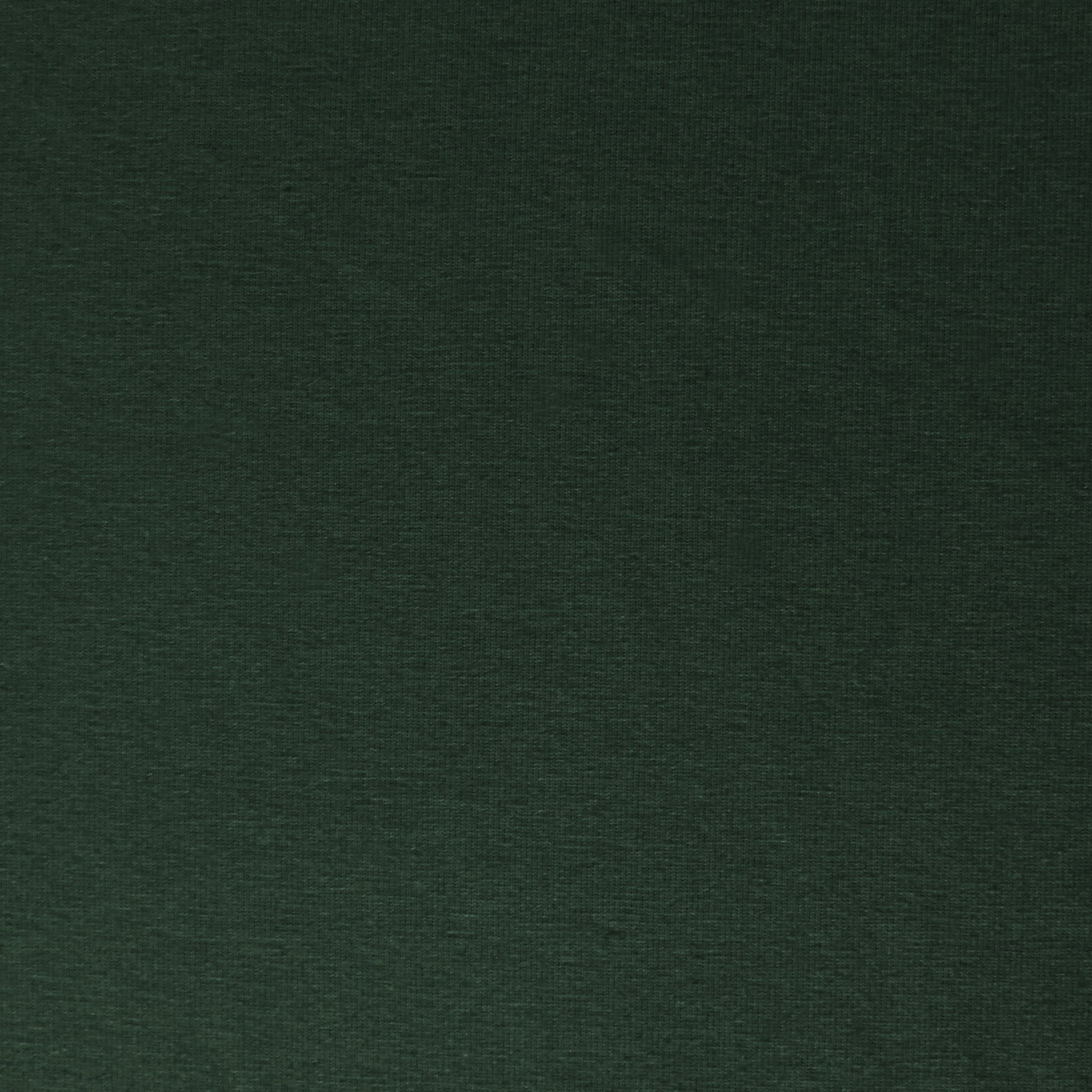 eco knit cotton/spandex jersey - balsam green