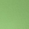 eco knit cotton/spandex jersey - spring green