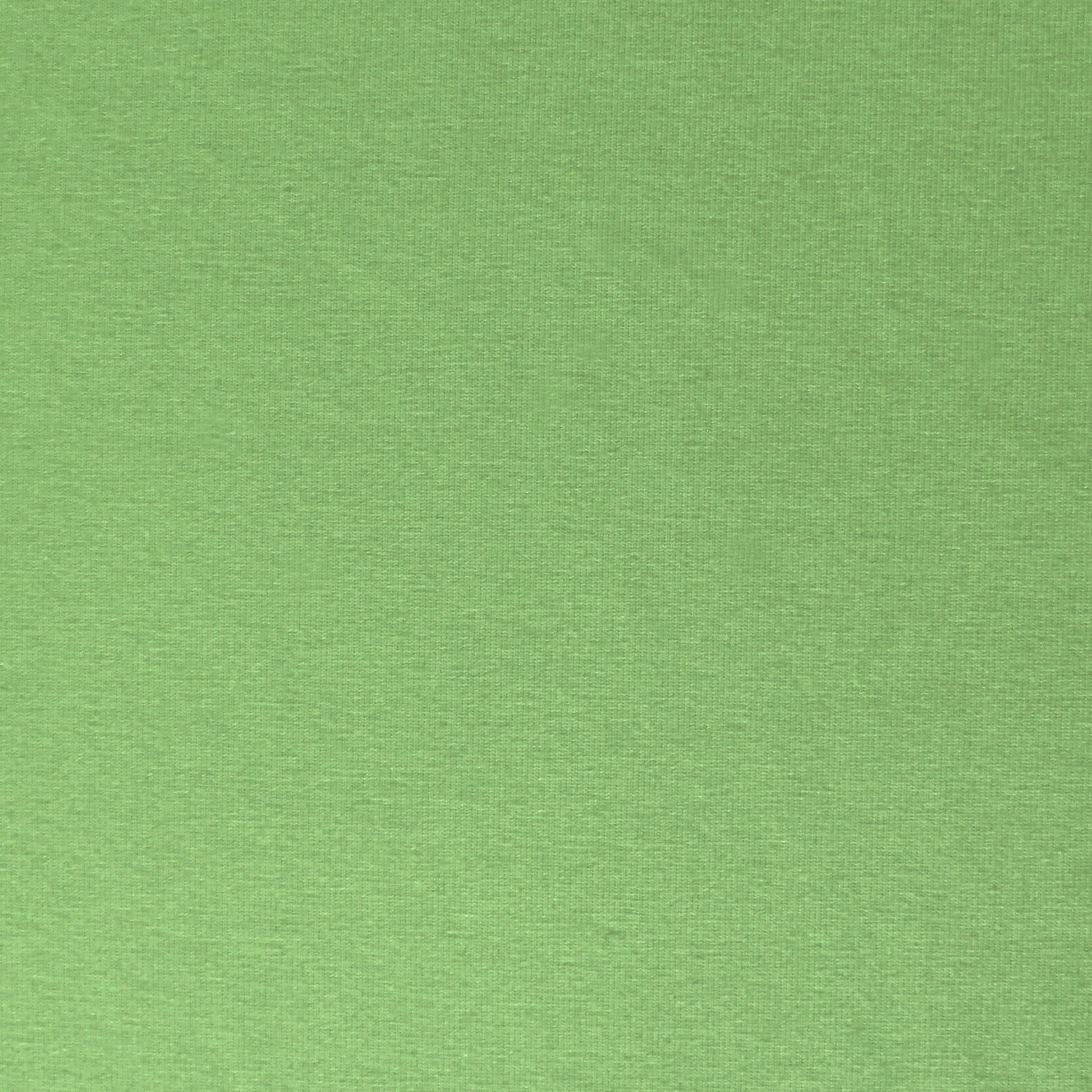 eco knit cotton/spandex jersey - spring green