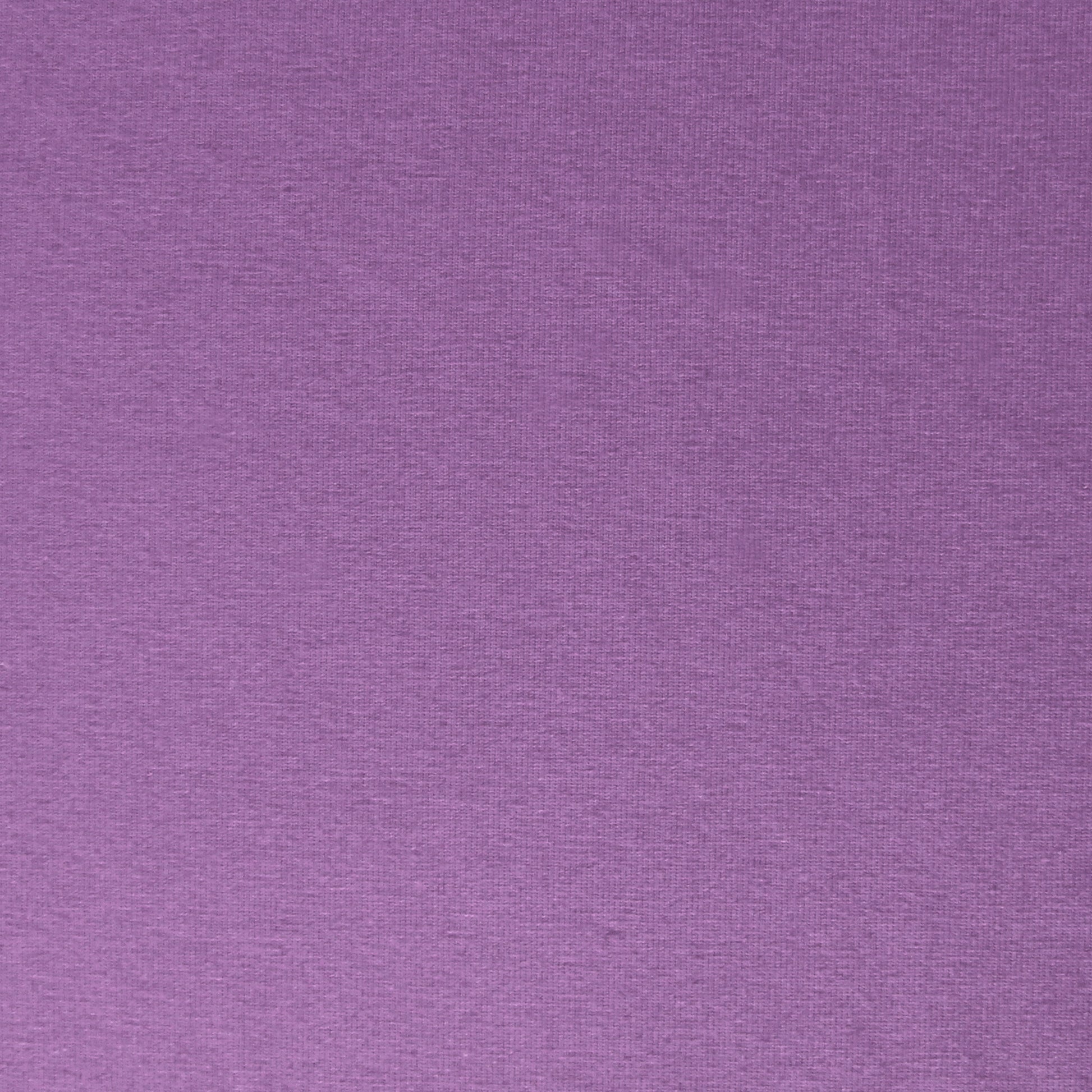 eco knit cotton/spandex jersey - purple lilac