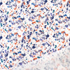 Italian 'paint drop' printed cotton poplin