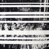 Italian 'trees behind stripes' stretch cotton shirting