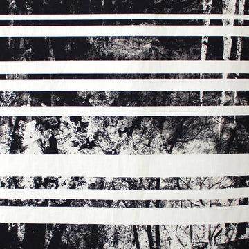 Italian 'trees behind stripes' stretch cotton shirting