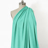 jersey knit, cotton/elastic extra-wide "workhorse" - Caribbean blue