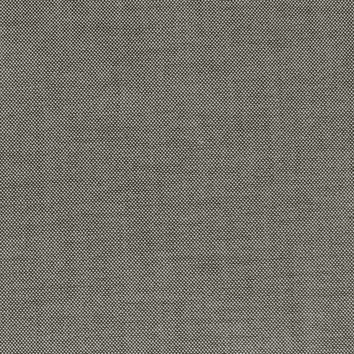 oxford cloth cotton shirting - espresso/white