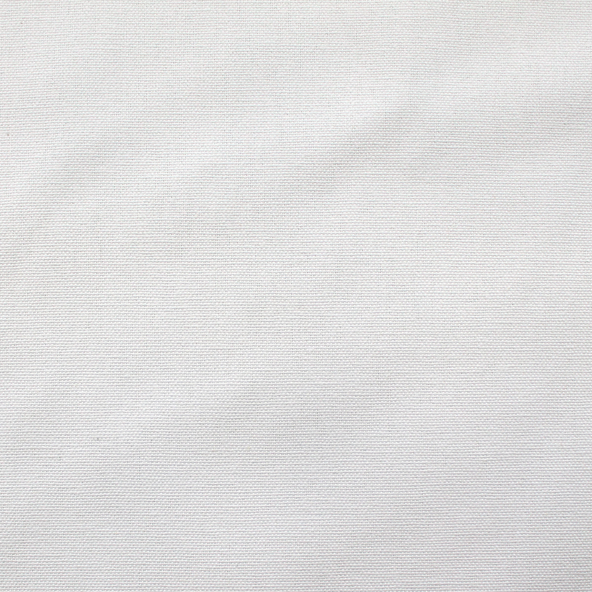 canvas, cotton mid-weight and firm - white