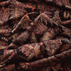 twill, Tencel dressweight 'autumn paisley'
