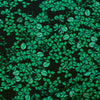 ponte knit, drapey viscose/Spandex 'blarney bloom'
