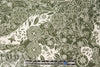 loden/white decorative floral ITY knit 2.5 yd