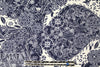 navy/white decorative floral ITY knit 1.5 yd