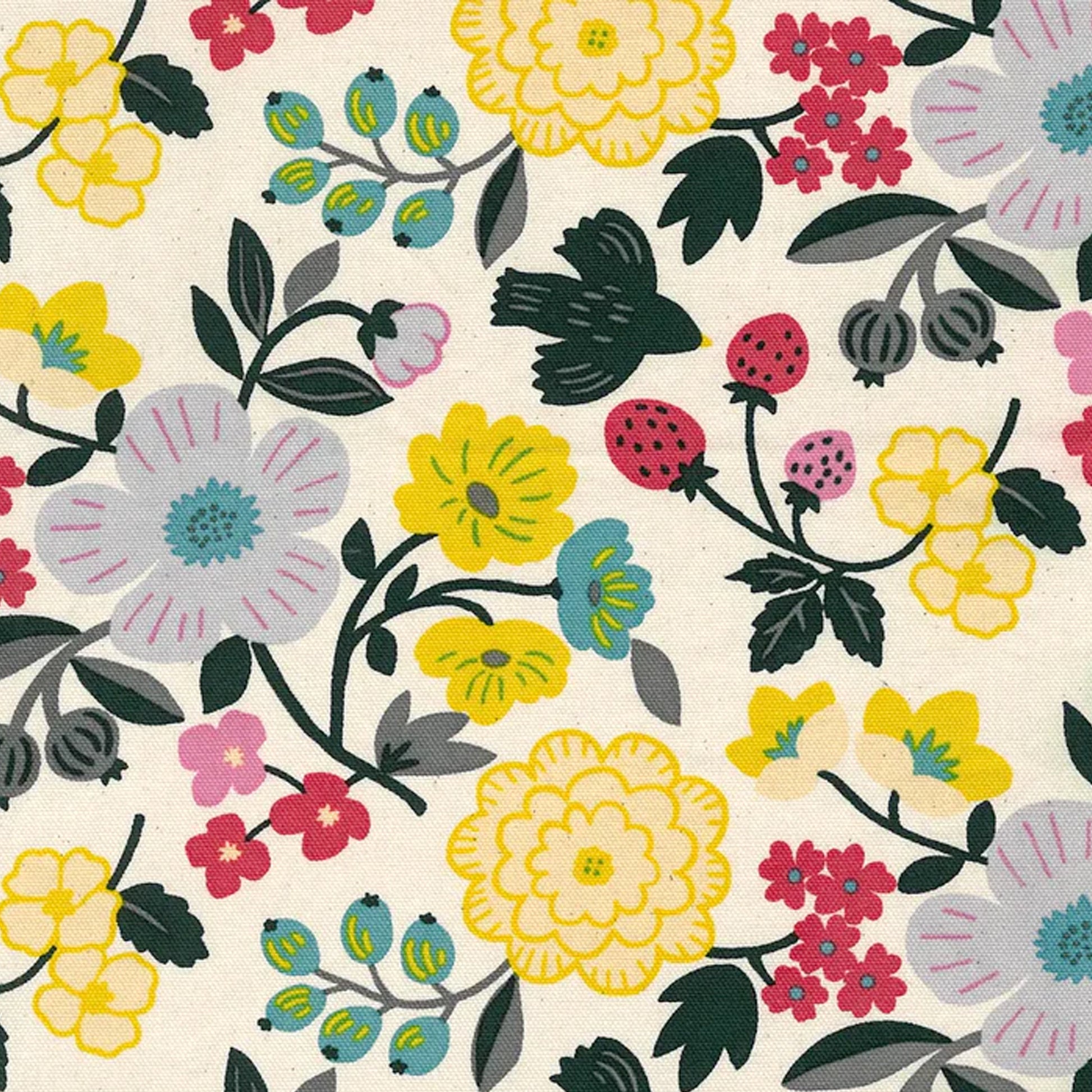 KOKKA 'Sopo' botanical cotton oxford - cream