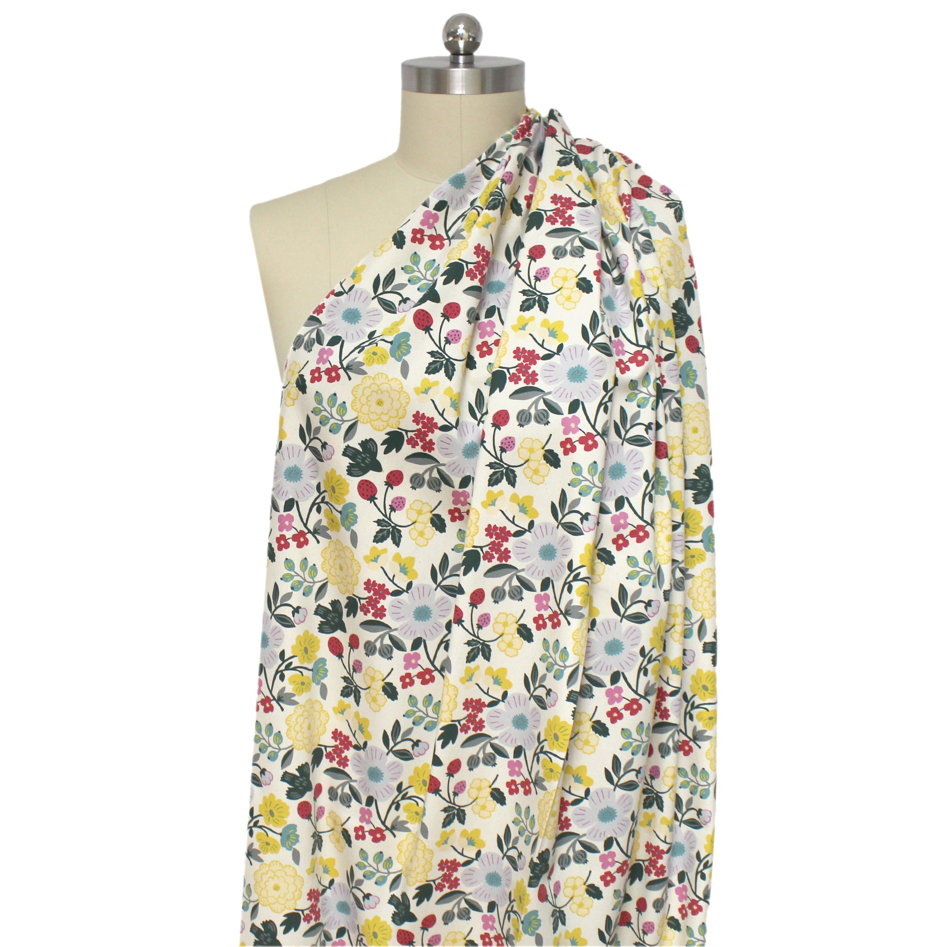 KOKKA 'Sopo' botanical cotton oxford - cream