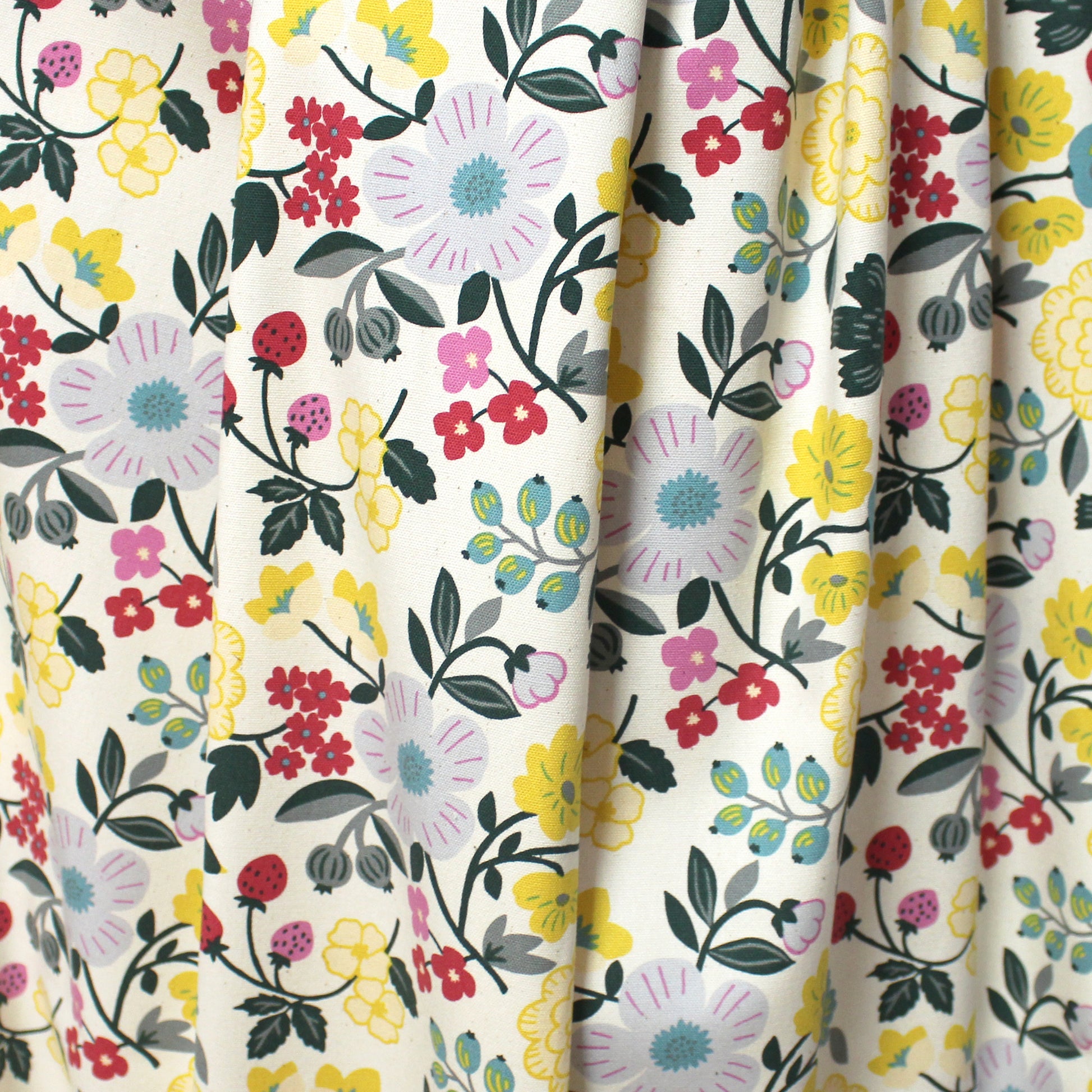 KOKKA 'Sopo' botanical cotton oxford - cream