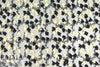 Tah@ri black/ivory 3-D flower applique' mesh lace 1.25 yds