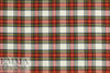 yarn-dye bamboo Oeko-Tex cert. plaid flannel - red/spruce 1 yard