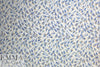 Italian blue/silver textured tulip brocade