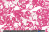 Tah@ri magenta/white mesh clip weave
