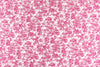 Tah@ri magenta/white mesh clip weave .875 yds