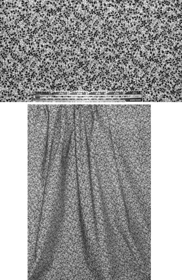 CA designer teeny b/w floral cotton woven