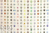 NY designer cameo graphic cotton poplin