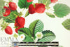 NY designer 'strawberry season' cotton shirting
