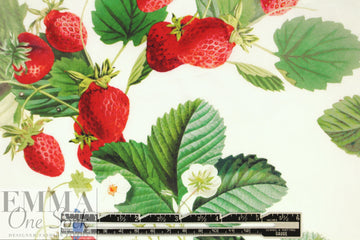 NY designer 'strawberry season' cotton shirting