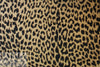 M0NSE stylized animal print signed cotton stretch twill 2 yd