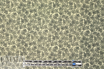 Italian loden mini floral cotton shirting