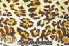 NY designer leopard print cotton shirting 1.625 yd