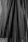 NY designer embroidered cotton eyelet lace - black .75 yds
