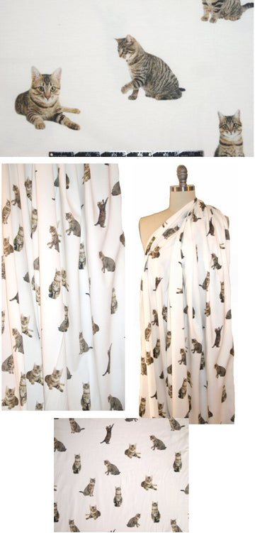 Dutch digital 'tabbies on display' cotton knit