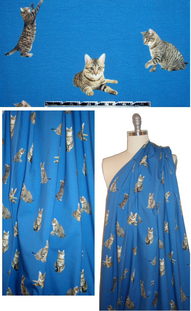 Dutch digital 'tabbies on display' cotton knit - blue