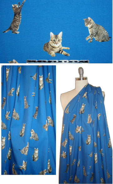 Dutch digital 'tabbies on display' cotton knit - blue 1.75 yds