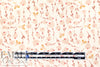 CA designer 'insects and flowers' cotton poplin Oeko-Tex certified 1.66 yd